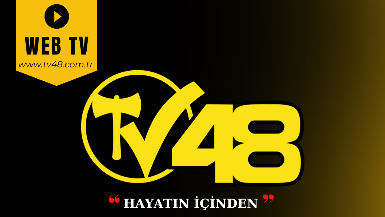 TV48 TV48