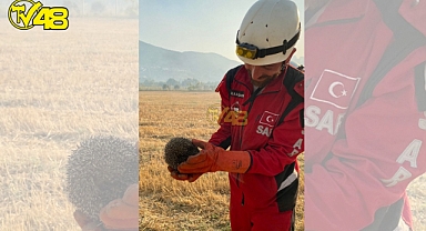 MİLAS-BODRUM HAVALİMANI YANGININDAN ÖZEL GÖRÜNTÜLER