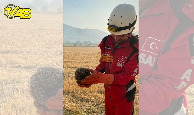 MİLAS-BODRUM HAVALİMANI YANGININDAN ÖZEL GÖRÜNTÜLER