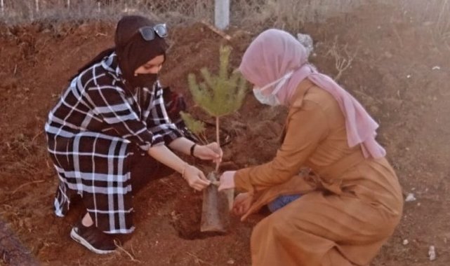 100 fidan toprakla buluştu