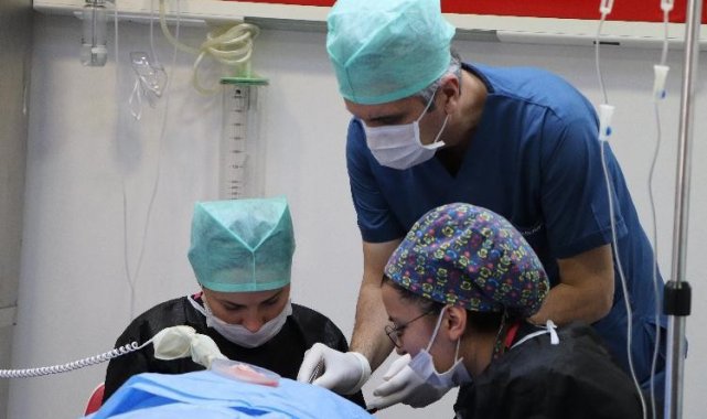 'Saç kaybı, özgüven kaybına yol açıyor'