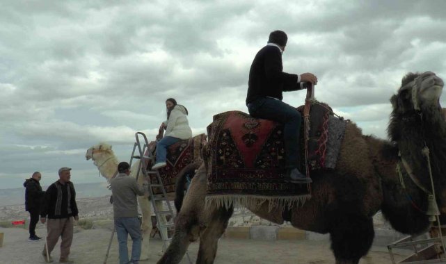 50 yıldır geçimini develerden sağlıyor