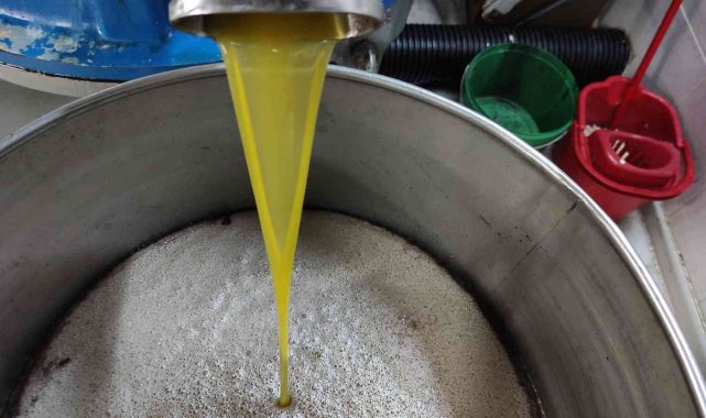 Ağaçlar yandı, zeytin yağı 50 lirayı buldu