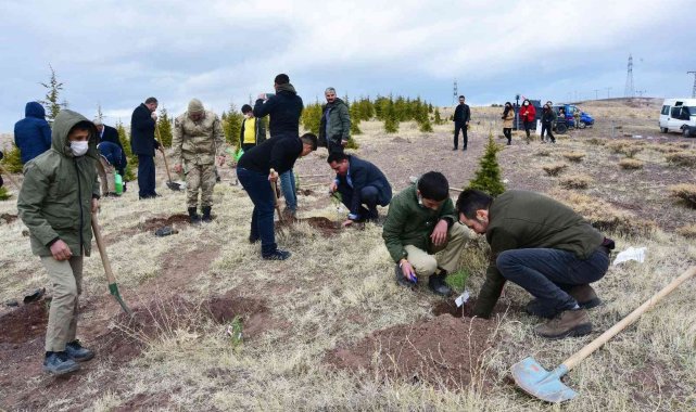 Ahlat'ta şehit öğretmenler anısına fidan dikildi