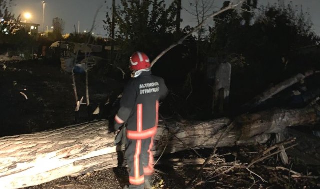 Altınova'da fırtına ağaçların devrilmesine neden oldu