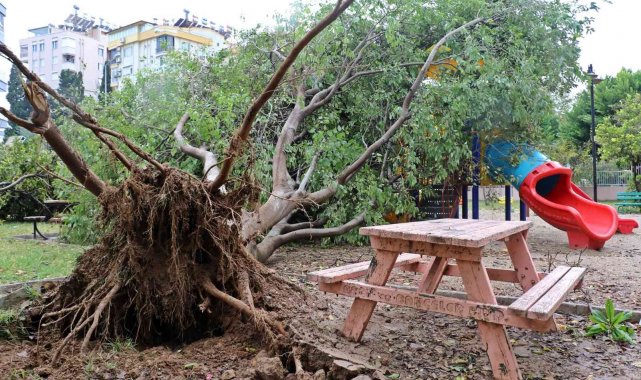 Antalya'da deprem korkusu yaşatan hortum mahalleyi savaş alanına çevirdi