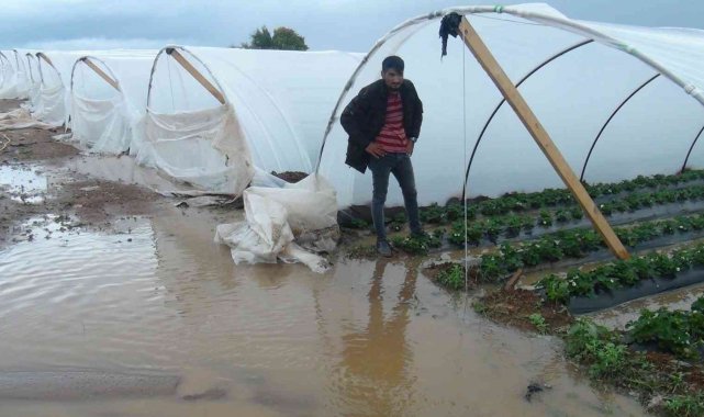 Antalya'da yağmur çilek seralarını sular içinde bıraktı