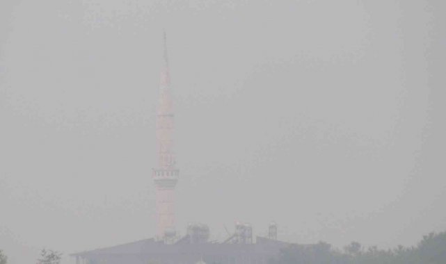 Araban'da yoğun sis etkili oldu