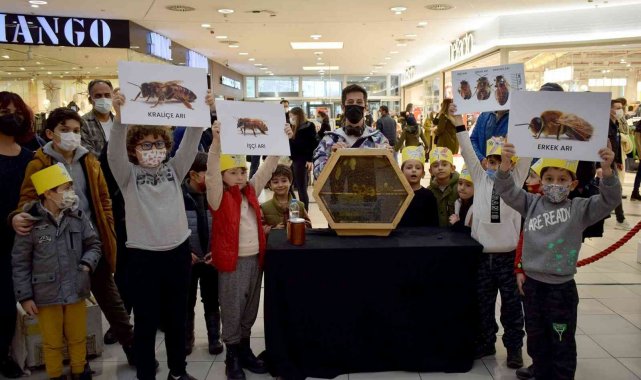 Arvaryum'da çocuklar arıları tanıdı
