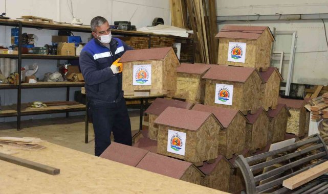 Atakum'da sokak hayvanlarına yuva