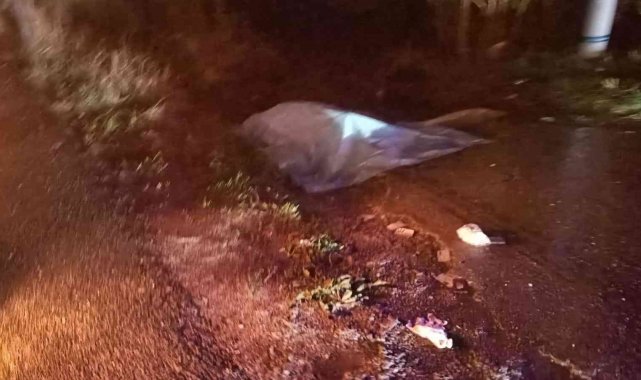 Aydın&#039;da trafik kazası: 1 ölü