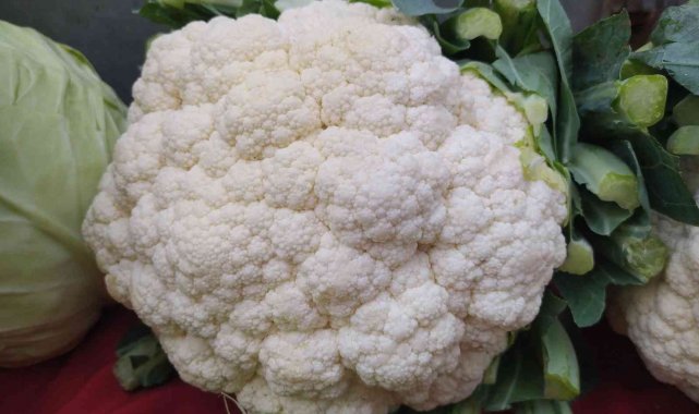 Bakteri-savar karnabahar 15 liradan 6 liraya düştü