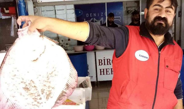 Balıkçı ağına takılan üç kiloluk kalkan balığı 600 liradan satışa çıktı