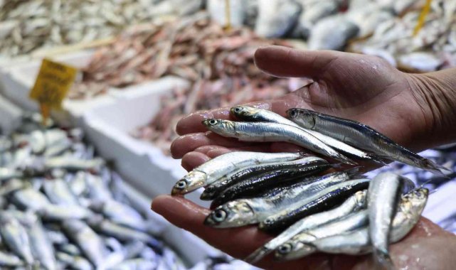 Balıkçılar şaşkın: Ucuz balığa ilgi yok