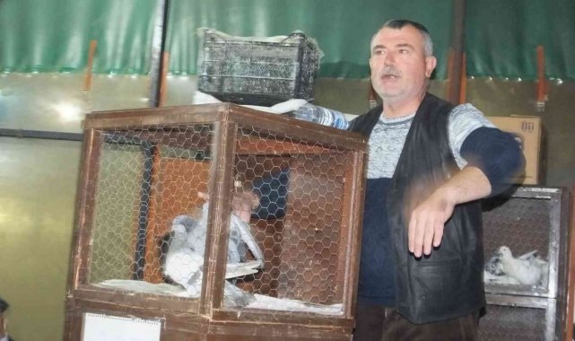 Balıkesir'de güvercin mezadı meraklıları buluşturdu