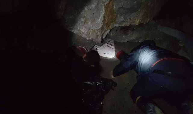 Balıkesir'de mahsur kalan kedi ve köpekler itfaiye tarafından kurtarıldı