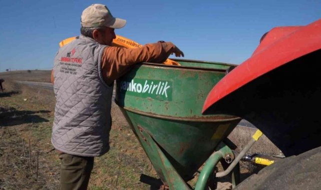 Balıkesir'de süt otu tohumu toprakla buluştu