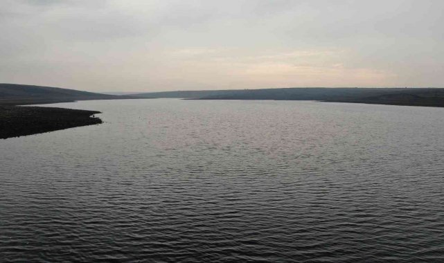 Baraj gölünde toplu balık ölümleri korkutuyor