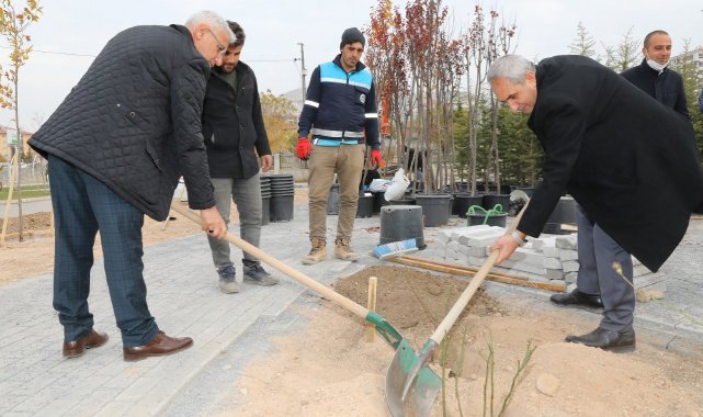 Başkan Güder gül fidanı dikti