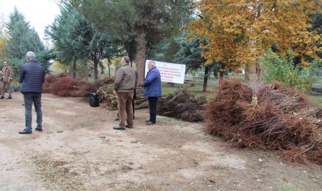 Batmanlı çiftçilere karışık meyve fidanı dağıtıldı