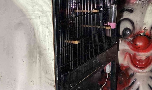 Bayrampaşa'da pet shopta yangın: Çok sayıda hayvan telef oldu