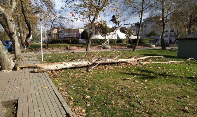 Belediye ekiplerinden lodos yıkıntılarına anında müdahale