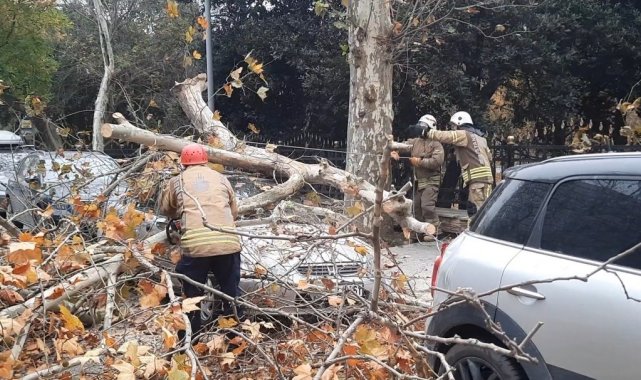 Beşiktaş'ta şiddetli rüzgarla devrilen ağaç, otomobilin üzerine düştü