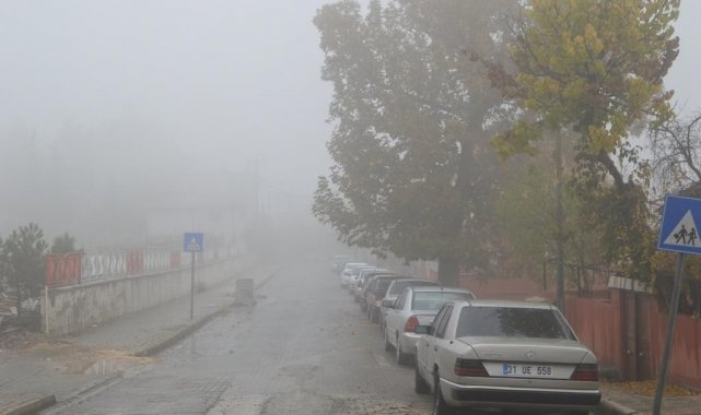 Besni'de yoğun sis etkili oldu