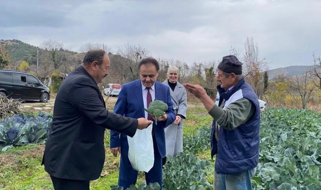 Bilecik'te 2 ay önce dikilen sebze fidelerinden ilk hasat yapıldı