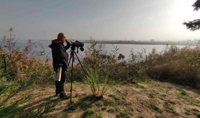 BM'nin mülteci raportörü gibi kuş gözlemcisi