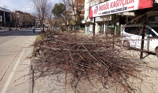 Bursa'da şiddetli lodos hayatı felç etmeye devam ediyor