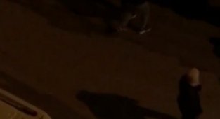 Bursa'da sokak ortasında meydan kavgası