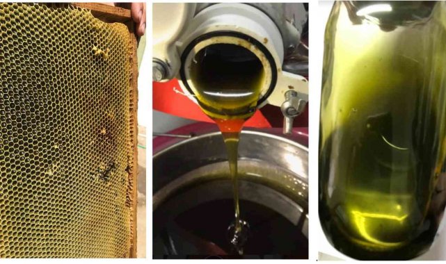 BUÜ'lü akademisyenler tamamen doğal arı yemi ve fonksiyonel bal üretti