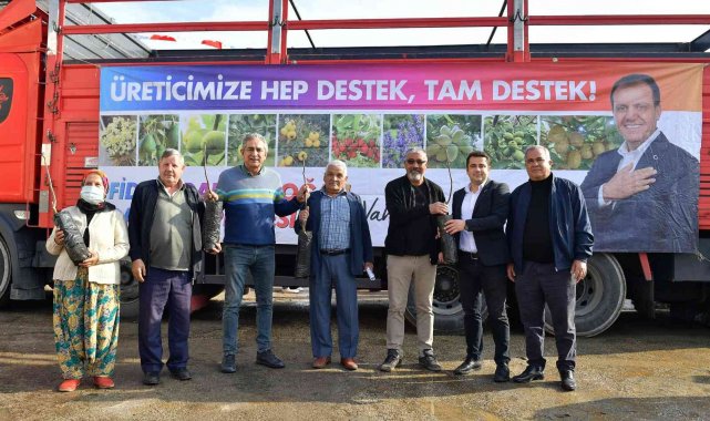 Büyükşehir Belediyesinin ceviz fidanı dağıtımı sürüyor
