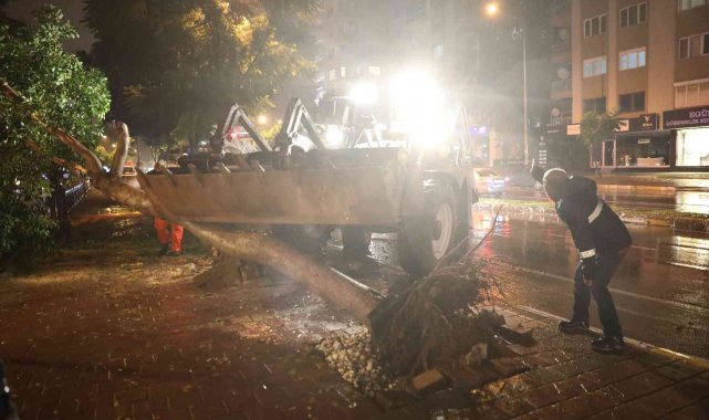 Büyükşehir'den fırtınada zarar gören bölgelere müdahale