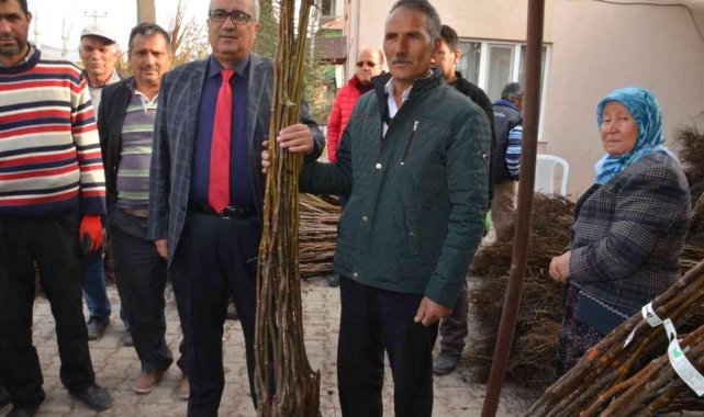 Çameli Belediyesi'nden ceviz üretimine dev destek