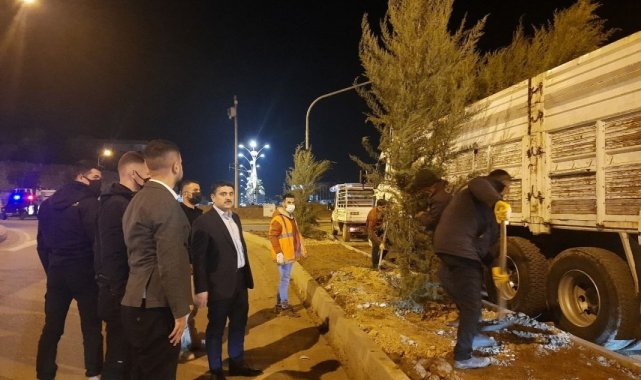 Cizre belediyesi peyzaj ve ağaçlandırma çalışmalarını sürdürüyor