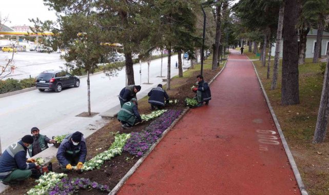Çorum 150 bin lale ve sümbülle donatıyor
