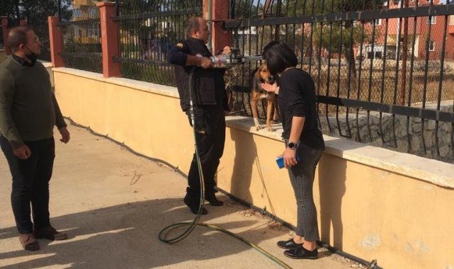 Demir parmaklıklara sıkışan köpek itfaiye ekiplerince kurtarıldı