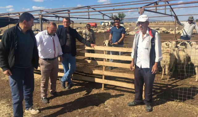 Denizli'de 67 yetiştiriciye toplam 1072 damızlık hayvan dağıtıldı