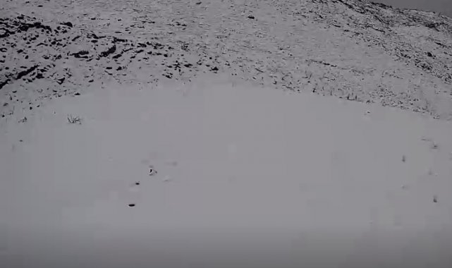 Denizli'de yılın ilk karı toprakla buluştu