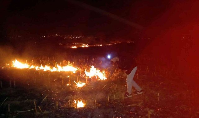 Düzce'de rüzgarın etkisiyle büyüyen yangına müdahale sürüyor