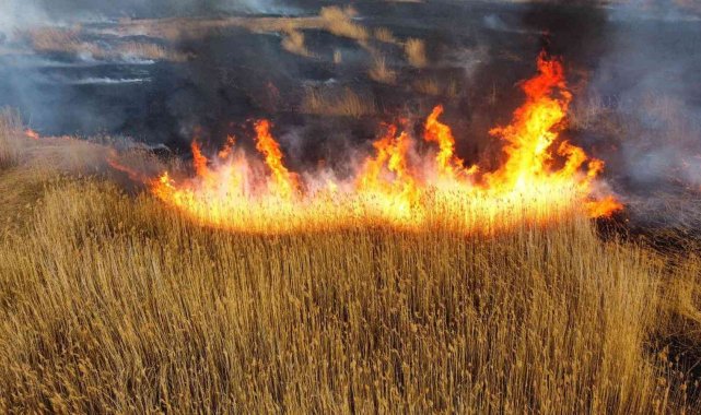 Eber Gölü'nde yine alevler yükseldi