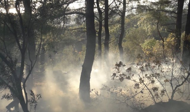 Edremit'te çıkan orman yangını büyümeden söndürüldü