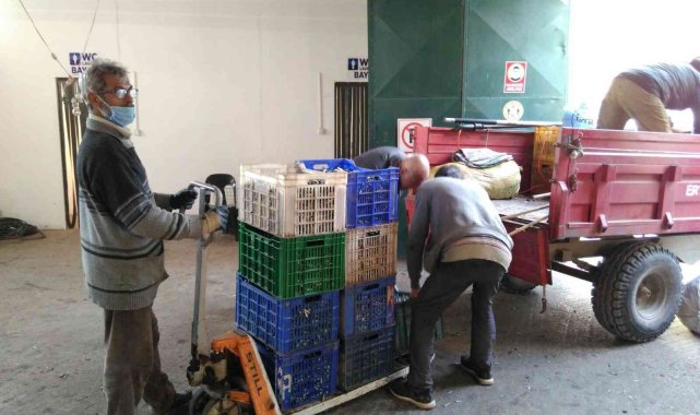 Erdek Zeytin kooperatifinden elek desteği