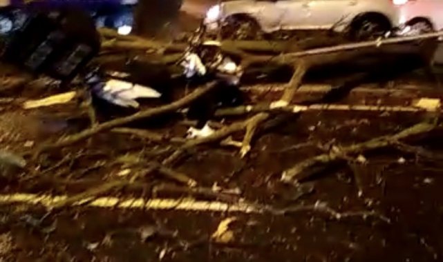 Eyüpsultan'da ağaç motosikletli kuryenin üstüne devrildi