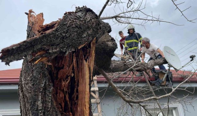 Fırtına ağacı evin üzerinde devirdi