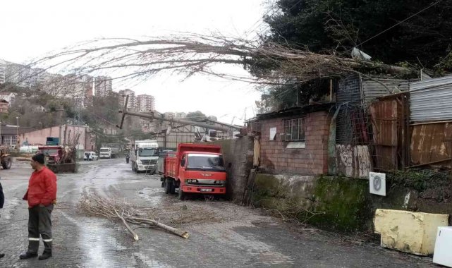Fırtına direkleri ve ağaçları devirdi