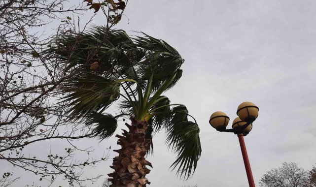 Fırtına hayatı olumsuz etkiledi