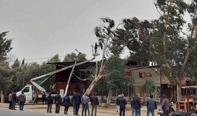 Fırtına İzmir'de ağaçları kökünden söktü, çatıları uçurdu